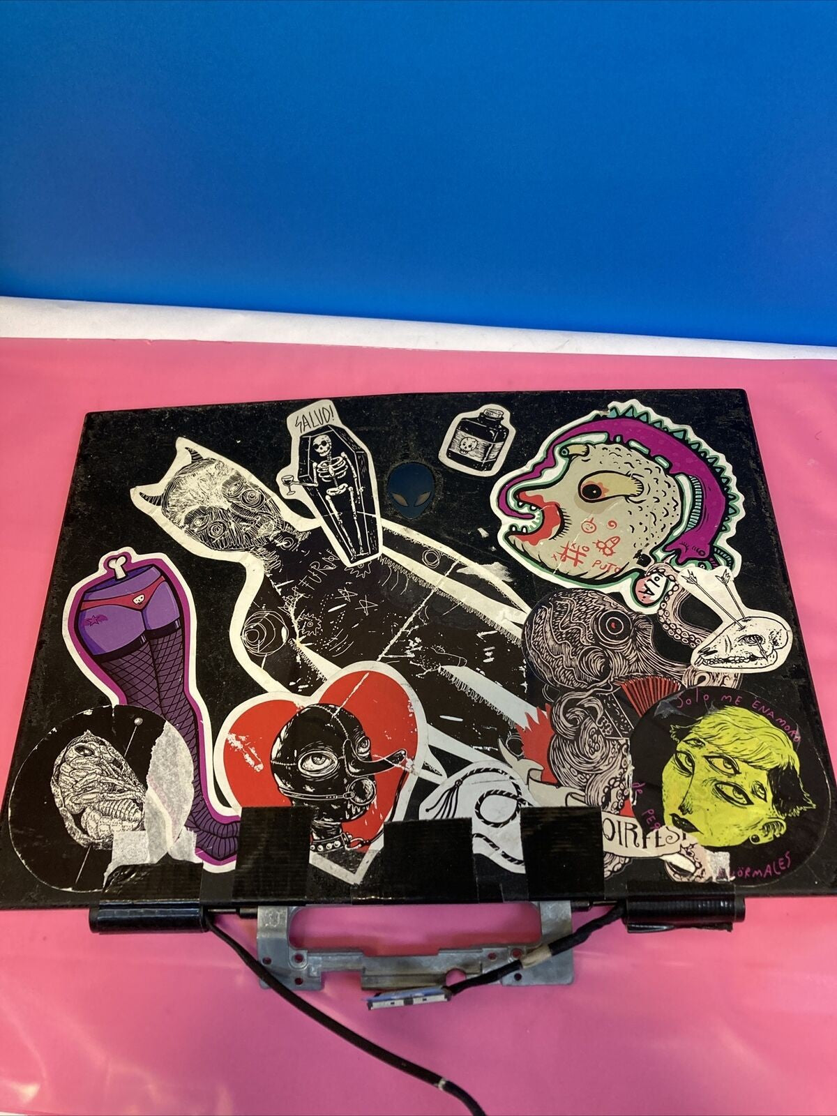 Dell Laptop Alienware M11x R2 LCD screen