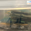 (2x 2GB) Crucial BG112JN.N2 DDR3-1333 PC3-10600 CT25664BA1339 .C8F1MD DIMM RAM ~