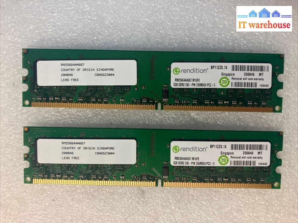 (2x 2GB) Rendition RM25664AA667 2GB DDR2-667 PC2-5300 Desktop DIMM Memory RAM ~