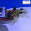(2x) 400-460 WATT Cooler Master power supply 20 + 4/4 + 4/6P PCIE