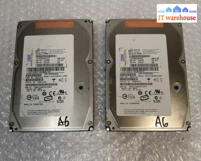 - 2x  IBM 300GB 15K SAS 3.5" Hard Drive W/Caddy 43X0805/43X0802/42C0242 @@@