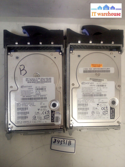 -2X Ibm 73.4Gb Ultra160 10K 06P5756 06P5760 Hard Drive W/Caddy @@@