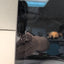 🔥 (Cracked,  SSD issue, AS IS) Microsoft Surface Pro 7 1866 / 8GB RAM -