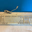 🔥 Sun Microsystems Type 7 USB Keyboard 320-1366-04 Oracle Numeric Keypad