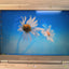🎸 Dell  XPS M1210 12" Laptop INTEL  T2500 CPU/1GB RAM/250GB HDD/WIN XP