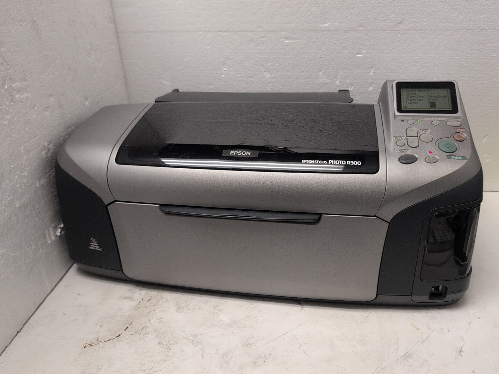 🔥 Epson Stylus Photo R300 Digital Photo Inkjet Printer -
