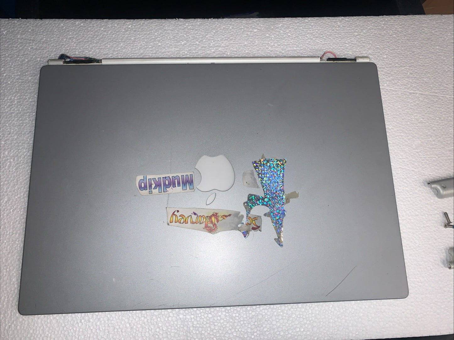 Apple PowerBook G4 Titanium 15" Laptop M5884 LCD screen display