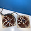 Lot Of 2 Noctua NF-P12 120MM 3-Pin cooling fans