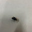 🔥 Lot of 8 AMP 8-Pin PCB Connector/Socket Black Gold Contacts