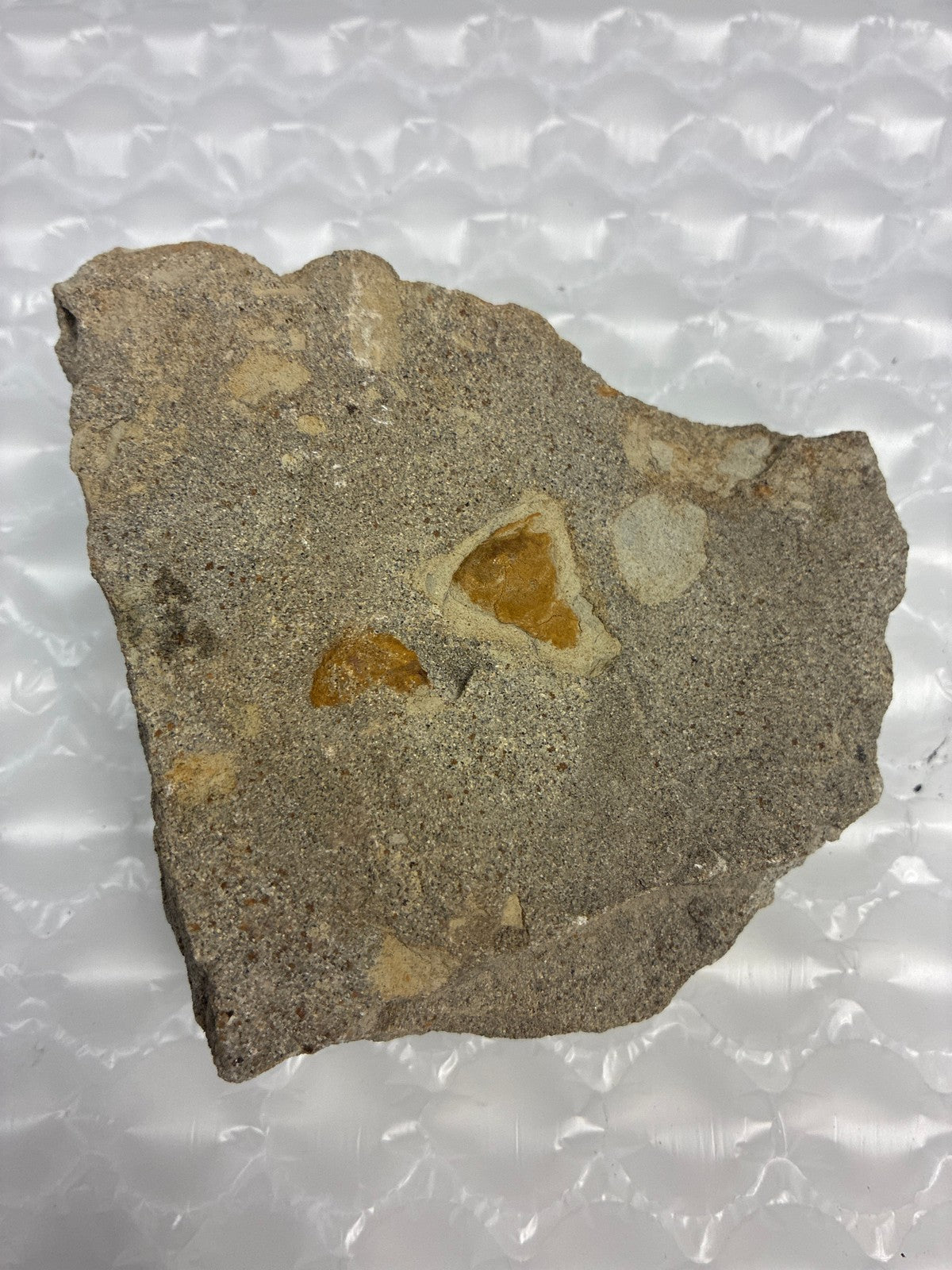 🔥 Sandstone Matrix Rock Specimen with Fossil Inclusions 440g Natural Slab