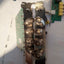 - Conexant Video Multiplexer 4-Port  Card  FGD-VIDMUX-03 W/ 2x UCC4 PLUS CARD