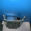 Lot of 8 Cisco VWIC-1MFT-T1 1-Port T1/E1 Multiflex Trunk Voice Interface Card