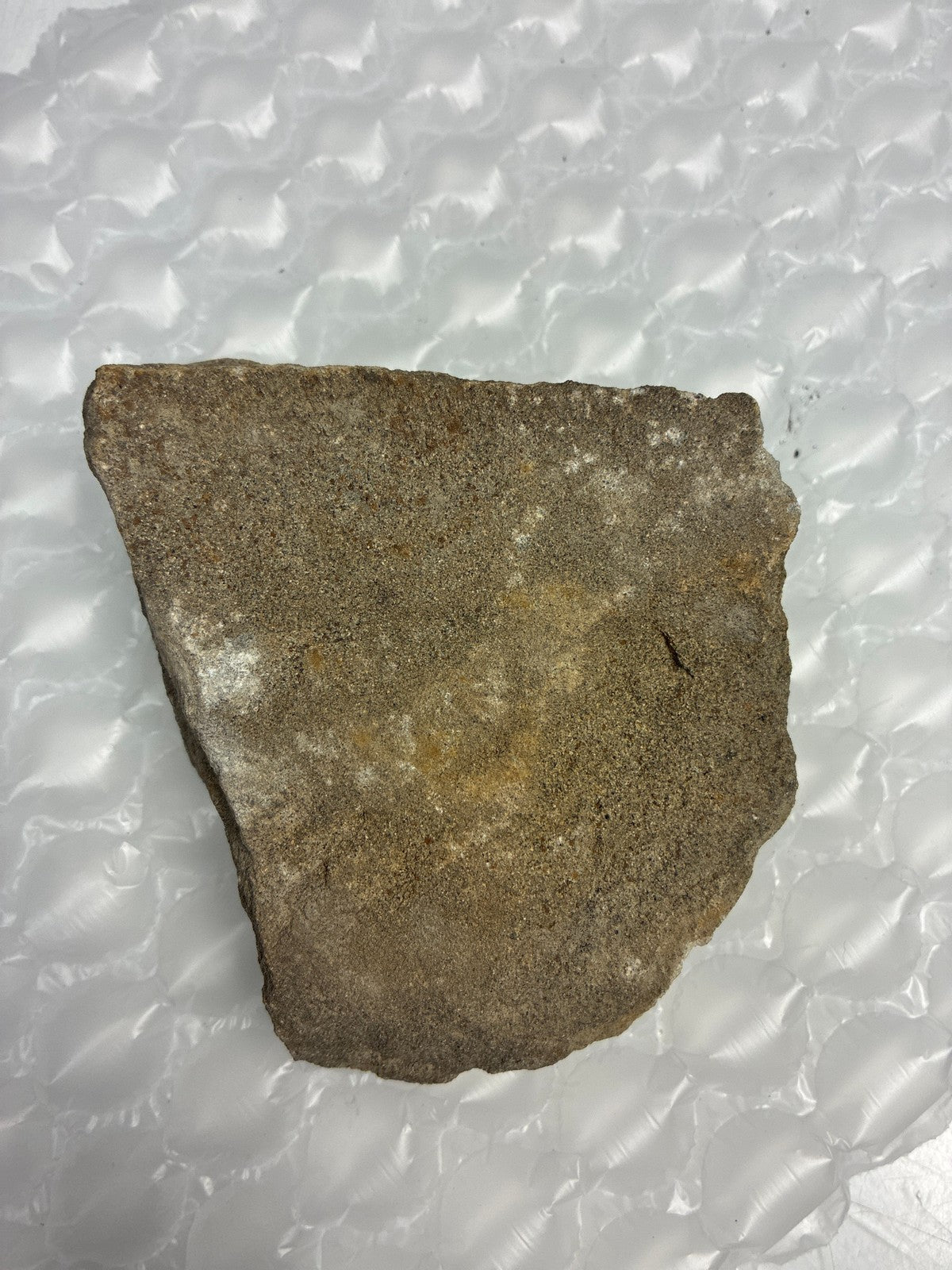 🔥 Sandstone Matrix Rock Specimen with Fossil Inclusions 440g Natural Slab