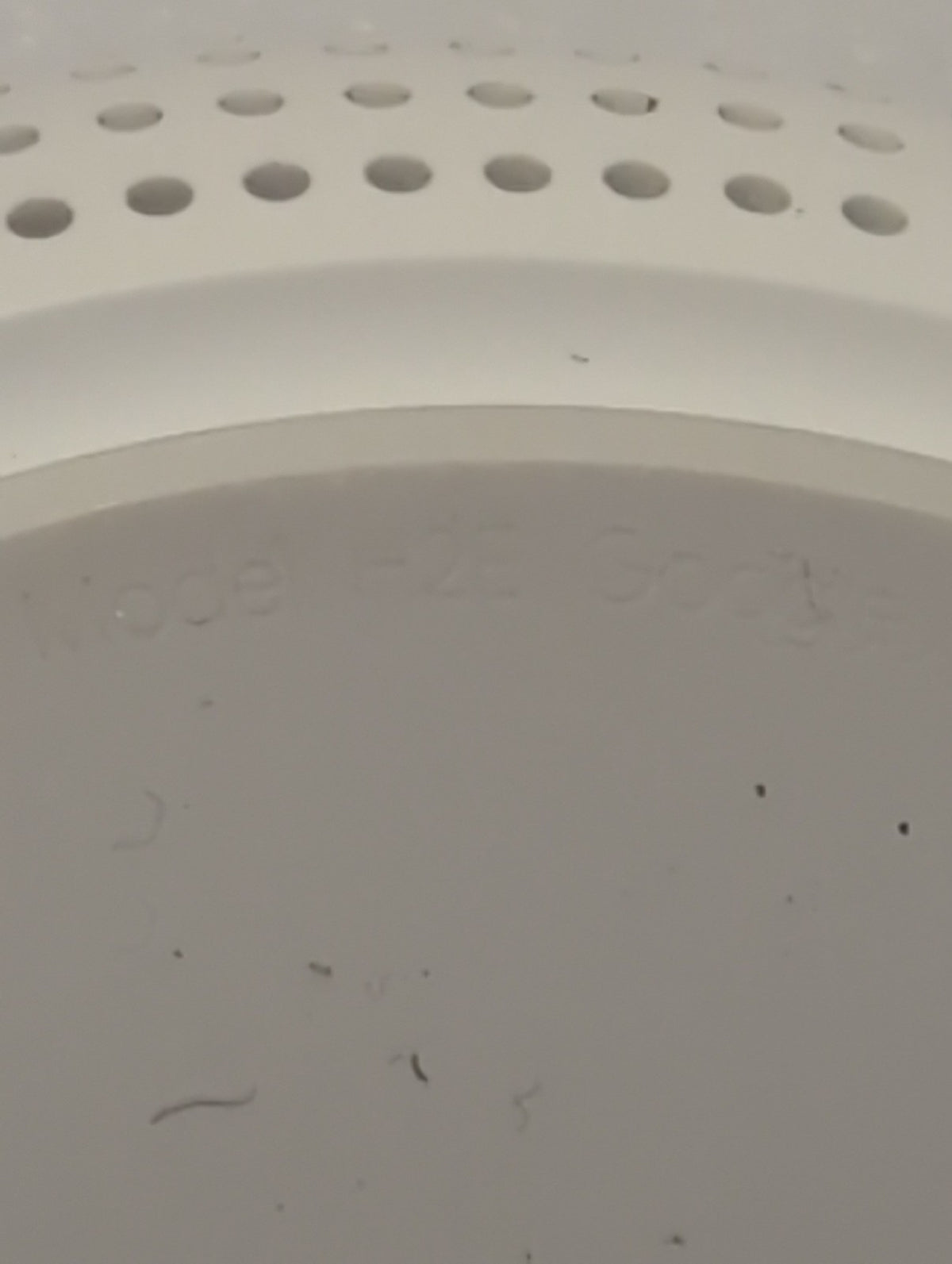 🎸 Google Nest H2E Wifi Point Router White Rounded Wi-Fi System Tested