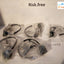- 5x NEW Microsoft Xbox One  Headset   Black/ X885329-001 / X19-09466-01