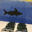 Cisco VMIC2-2MFT-T1/E1 and VMIC2-1MFT-T1/E1 modules