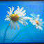 Dell Optiplex 780 Desktop Core 2 Duo E8400 Cpu / 4Gb Ram 1Tb Hdd Xp Pro ~
