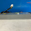 GENUINE Dell FD833 0FD833 DPS-450HB B 450W Power Supply PSU AF450C00230 ~