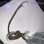 HP EliteDesk ProDesk 800 600 400 Z240 SFF Power Supply 702307-002 751884-001