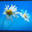 HP Pavilion p6000 Desktop Intel E5200 CPU / 4GB RAM / 250GB HDD / Win XP Pro ~