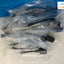 (Lot of 6x) New & Sealed RJ45 Ethernet Network Extension Male to Female CABLE ~