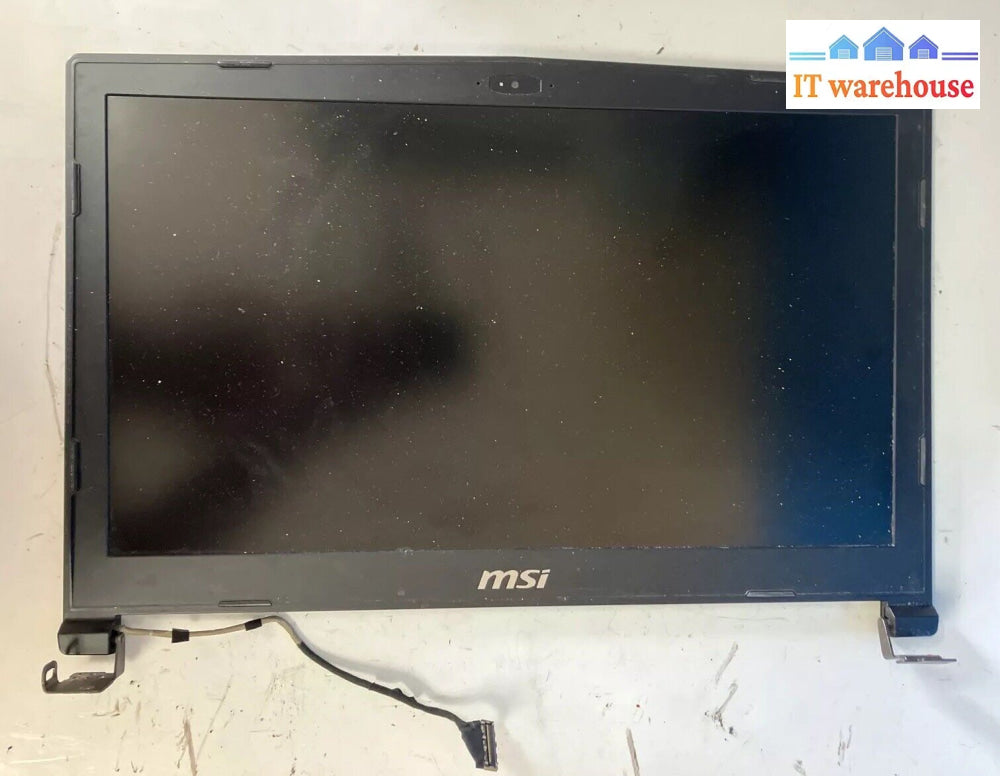 Msi Ms-16P8 Laptop Lcd Screen Ms16P1 *Tested* ~