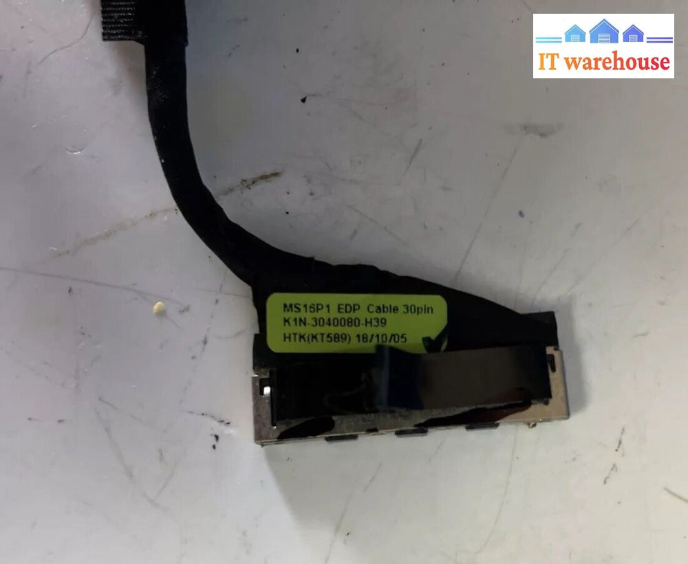 Msi Ms-16P8 Laptop Lcd Screen Ms16P1 *Tested* ~