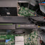 (NICE) DELL PRECISION T3610 MT  W/Xeon E5-1620 v2/16GB RAM/2TB HD/K4000/ Win10-