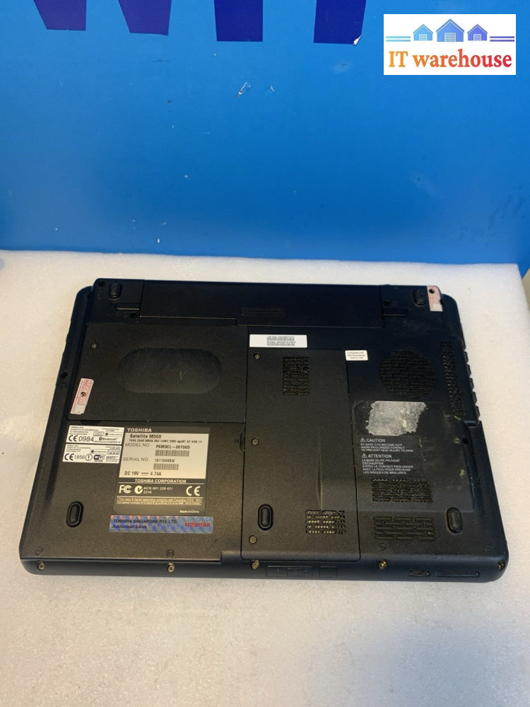 Nice ~ Toshiba Satellite M300 T6600