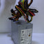 Power Man 500W Atx Power Supply Ip-P500Cq3-2 2X 6Pin Pcie/4 + 4 Cpu *Tested* -