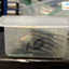 ~ Rare Apple Pc133 Sdr Sdram 133Mhz So-Dimm For Imac 512Mb Owc Memory