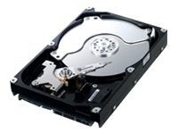 1x 🔥 Name Brand 500GB SATA 3.5" Brand Drive  (1000+ days lifetime remaining)
