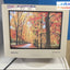 Vintage Samsung Syncmaster 753Df 17’ Gaming Crt Monitor With Vga & Power Cord ~