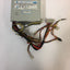 - YOUNG YEAR ATX SWITCHING POWER PUPPLY YP-500-A  400W 